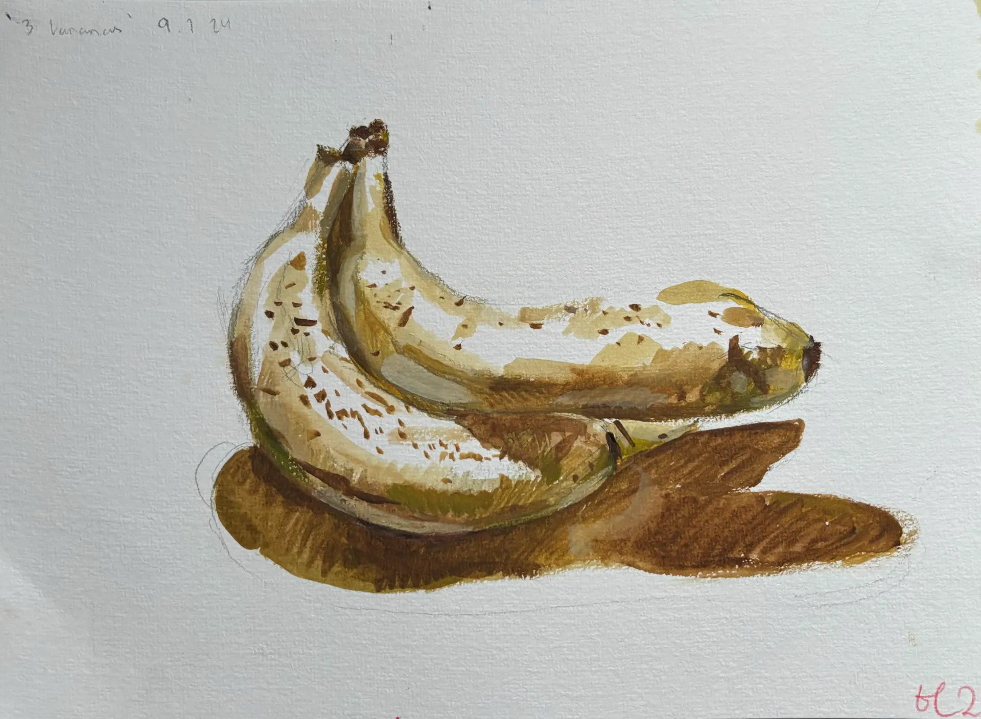 'Bananas' - Toby Lopata
